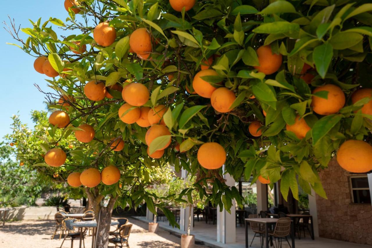 Can Arabi - Adults Only Puig D'en Valls Exterior photo